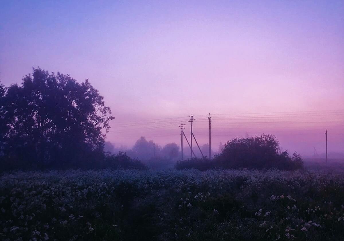 Leyu Sports-【欧洲杯】国米中卫致胜球 斯洛伐克2比1胜十人波兰